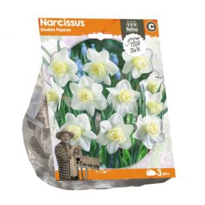 Baltus Narcissus Double Popeye bloembollen per 3 stuks